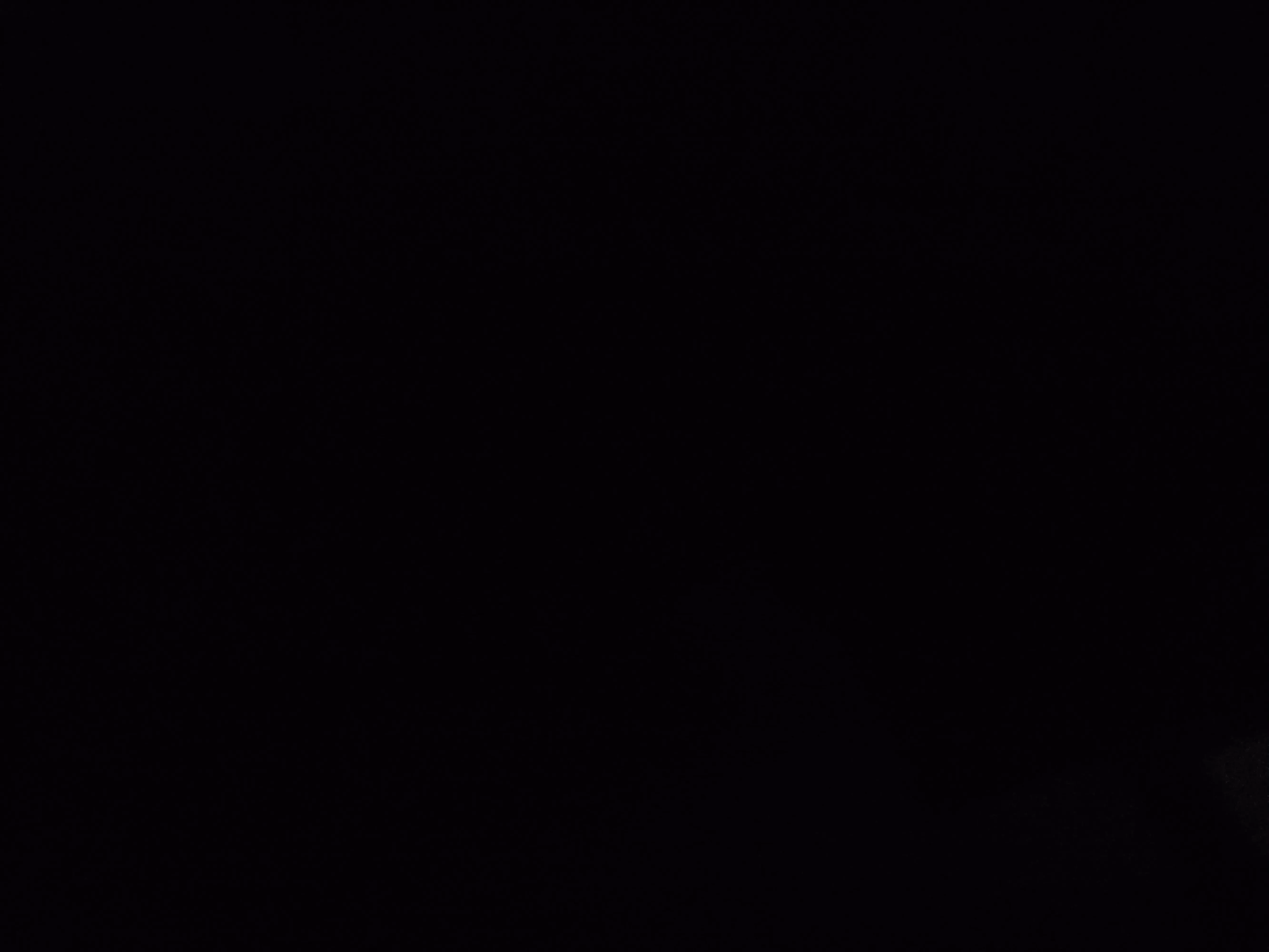 1745685596642.jpg