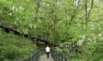 안산 길.jpg